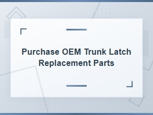 Oem Trunk Latch Replacement Parts for Mechanism Issues